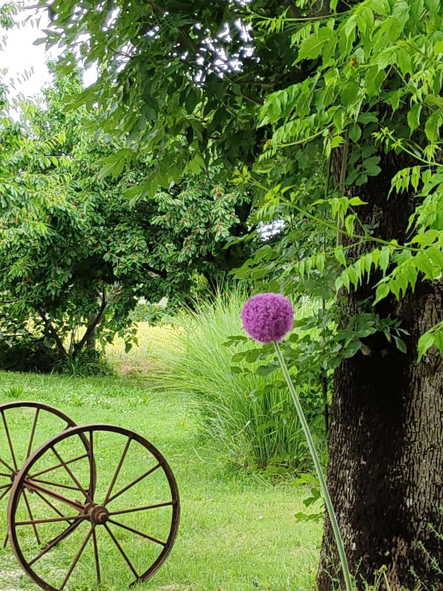 Ca Veja B&B Forlì Buitenkant foto
